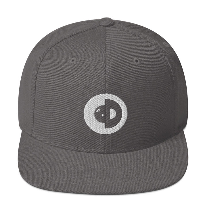 Snapback Hat - CtD Logo